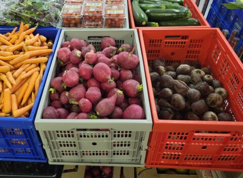 produce in bins at Ocean Shores Food Bank